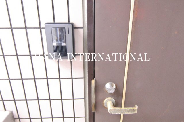 Landyシンウラヤスのその他