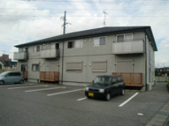 パルム安又の画像