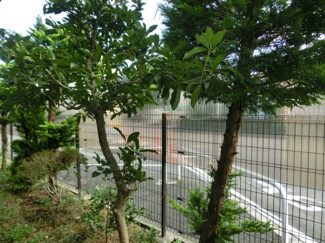 【展望】 | 開放感のある眺望。