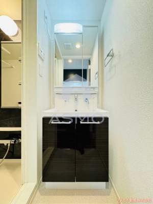 【独立洗面台】 | リアライズ南巽 | 同マンション別部屋　参考写真