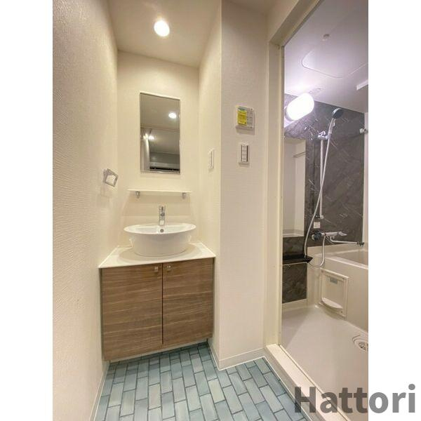 メルディア大正D.C.の洗面所