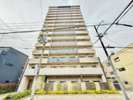 レジュールアッシュTAUSHOREGANTの画像