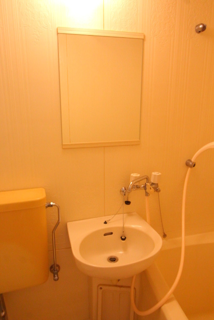 ピットイン稲葉の洗面所