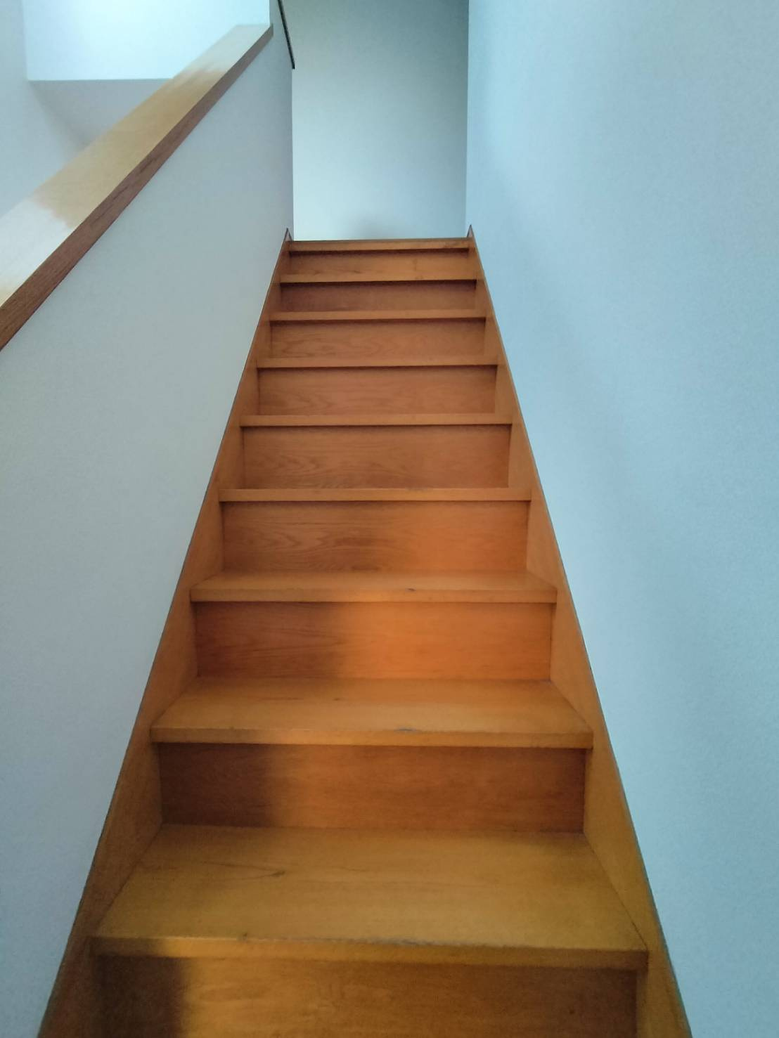 星和台2丁目貸家の内装