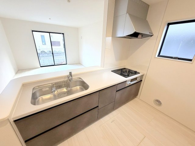 日の出町平井全1棟　新築戸建の外観