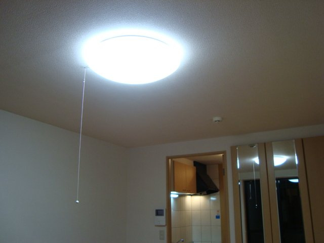 サウザンガーデンの内装|洋室照明