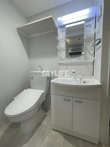 エグゼ大阪CITYルーエの洗面所