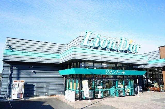 シェーネ・プラシードⅡの周辺|リオン・ドール浅川店まで1200m