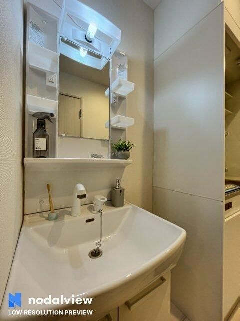 ラ・ルーチェの洗面所