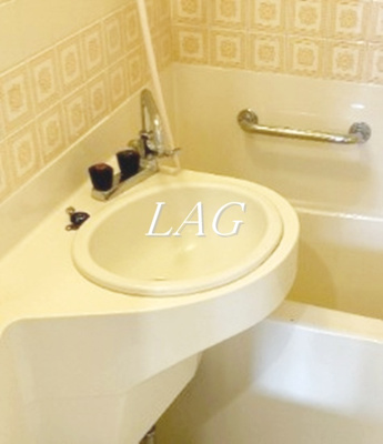 【洗面所】 | ダイネス壱番館渋谷 | 洗面台です。