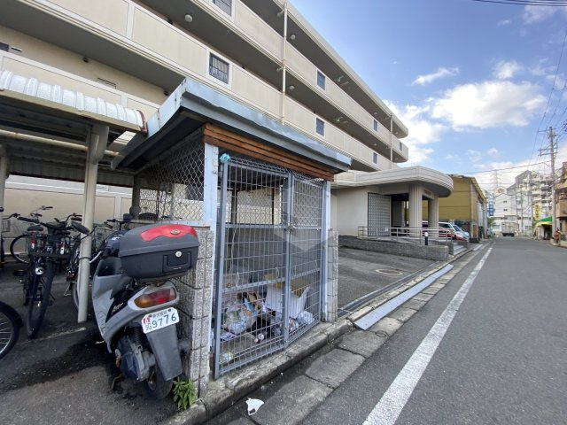 セラヴィ島之内のその他