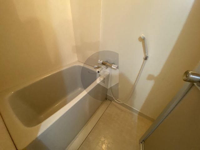 セラヴィ島之内の浴室