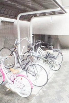 【その他共用部分】 | ベルタス舟渡 | 駐輪場です。