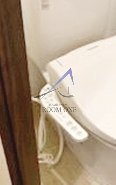 カブラハイツⅡのその他