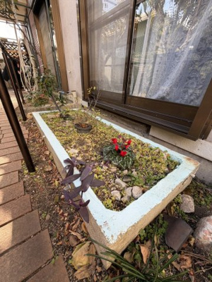 【庭】 | 灘南貸家