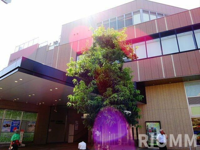 【その他】 | シプレ永福