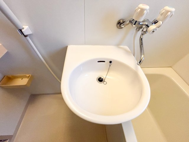 ドムール加美の洗面所