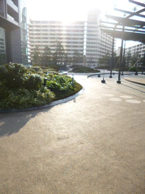 THE TOKYO TOWERS SEA TOWERの周辺