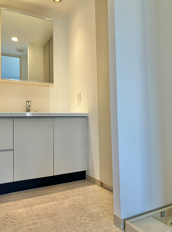 レーベンリヴァーレ東京ラ・トーレの洗面所