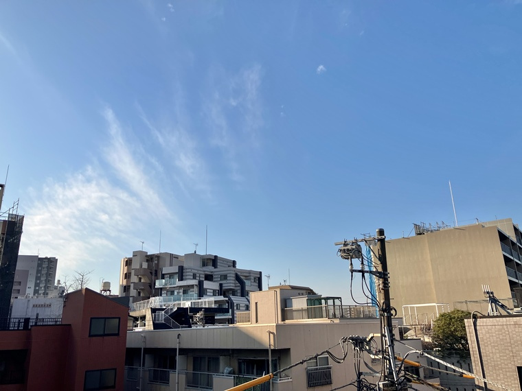 レーベンリヴァーレ東京ラ・トーレの展望