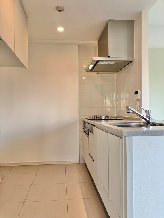 レーベンリヴァーレ東京ラ・トーレのキッチン