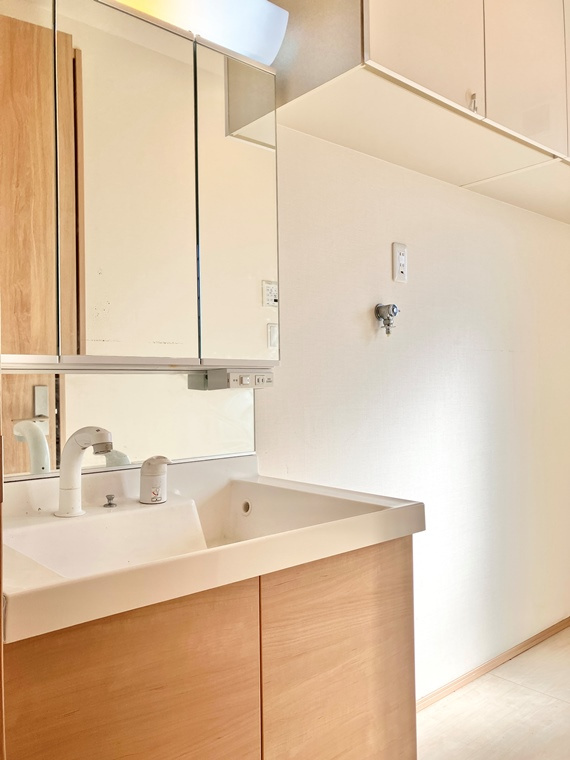 国分南戸建の洗面所