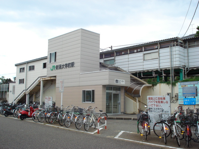 サザンウェーブⅡの周辺|新潟大学前駅(JR　越後線)まで1,005ｍ