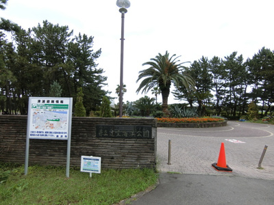 辻堂海浜公園　450ｍ