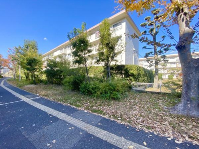 【その他】 | 新金岡3丁1番G住宅2棟 | 毎日のお散歩も快適な緑に恵まれたエリアで、ゆとりある住環境が整っています。