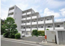 ミテッツァ矢向の画像