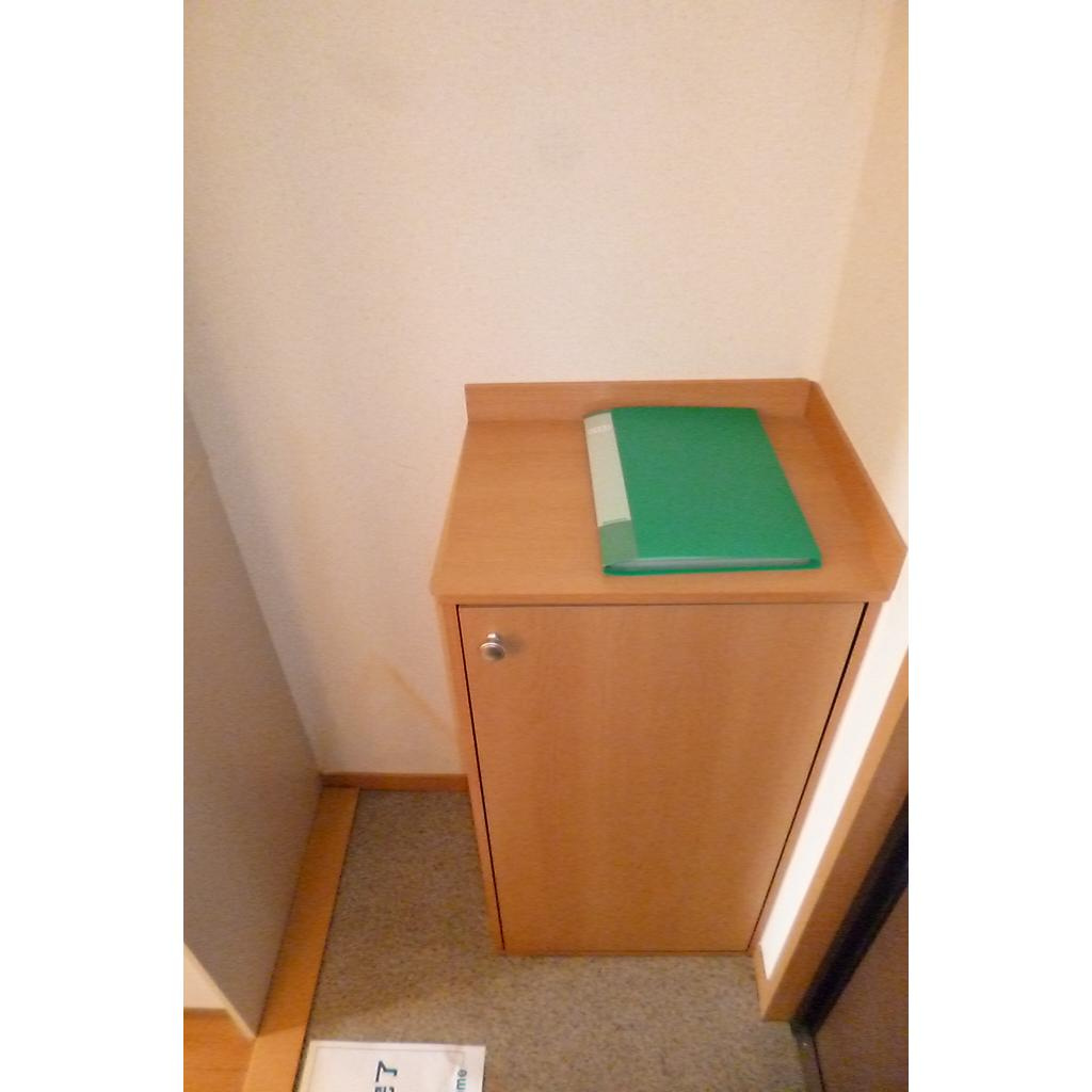 日新花崎ビレッジ　Ｃの玄関