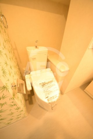 セイワパレス大今里のトイレ|セイワパレス大今里　トイレ