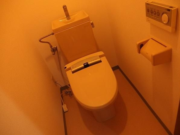 グランウフ保坂のトイレ