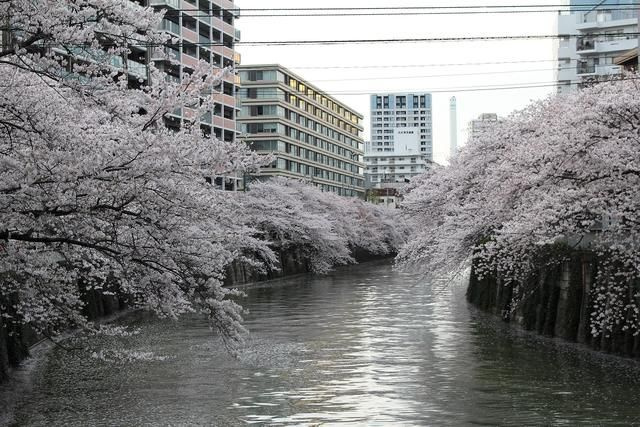 グランウフ保坂の周辺