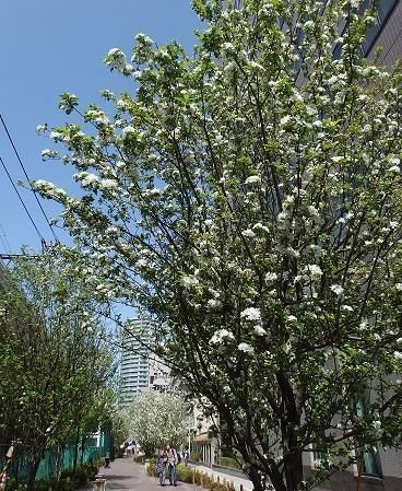 グランウフ保坂のその他