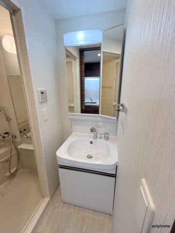 エステムコート難波サウスプレイスⅧハイド　仲介手数料無料の洗面所