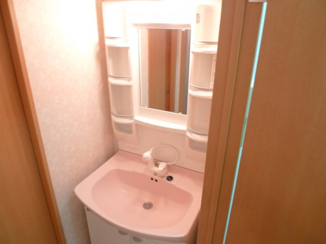 メルローズプレイスⅡの独立洗面台|朝など便利なシャンプードレッサーです※お部屋は別のお部屋です