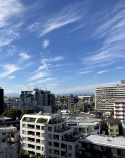 パークハウス渋谷山手の展望