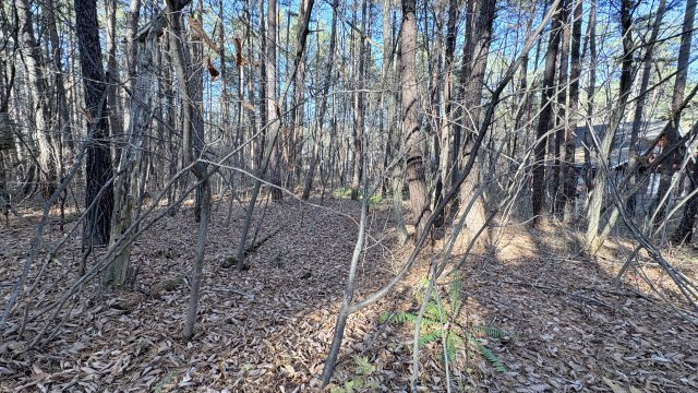 浅間ハイランドパーク 敷地約440坪の売土地