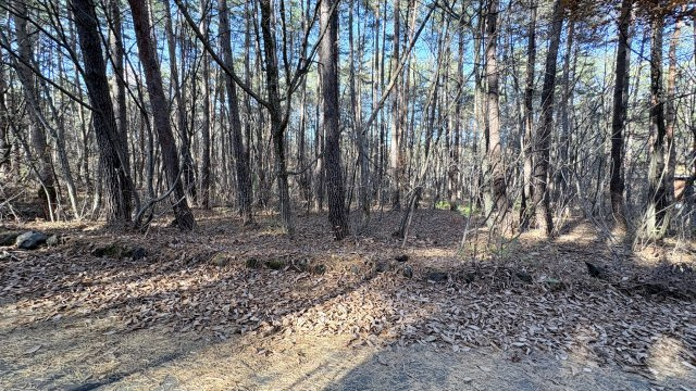 浅間ハイランドパーク 敷地約440坪の売土地の前面道路含む現地写真