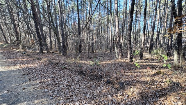浅間ハイランドパーク 敷地約440坪の売土地の前面道路含む現地写真