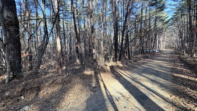 浅間ハイランドパーク 敷地約440坪の売土地の前面道路含む現地写真