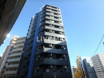 ＣＹＮＴＨＩＡ　ＦＯＵＲ－Ｄ　ＧＯＴＡＮＤＡ　ＷＥＳＴの画像