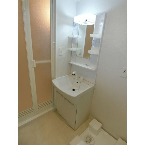 サンライフ六名の洗面所