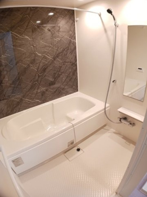 【浴室】 | ウッドスプリング山根　Ａ　1ＬＤＫＴＳ | 日々の暮らしに欠かせないお風呂です