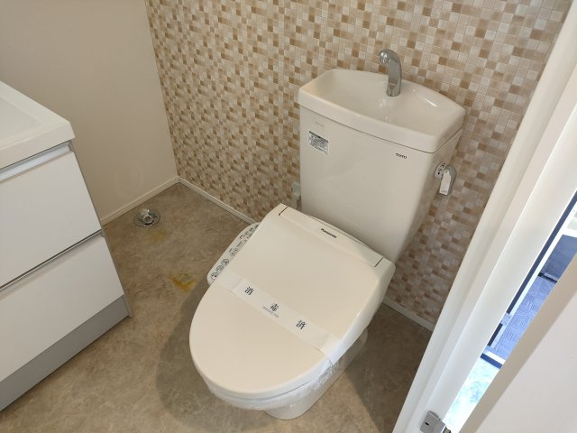 セキレイのトイレ