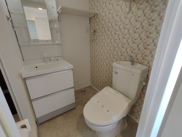 セキレイのトイレ