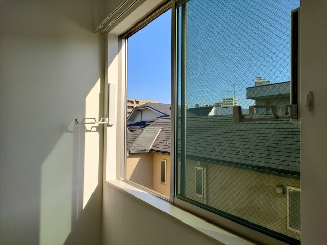 セキレイの展望