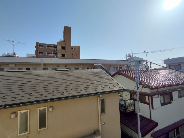 セキレイの展望