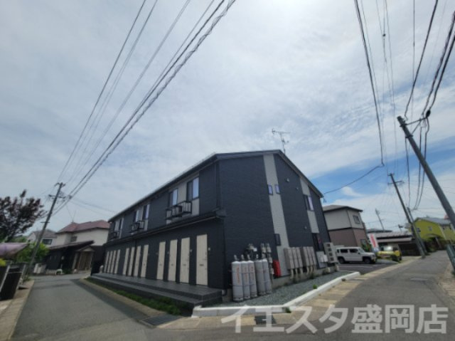 みかんの外観